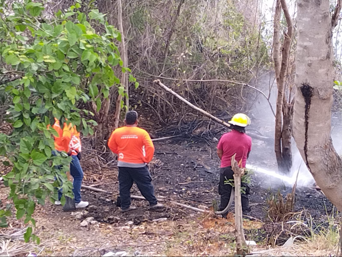 5 mil litros de agua fueron necesarios para controlar incendio en la colonia Polvorín 5 mil litros de agua fueron necesarios para controlar incendio en la colonia Polvorín