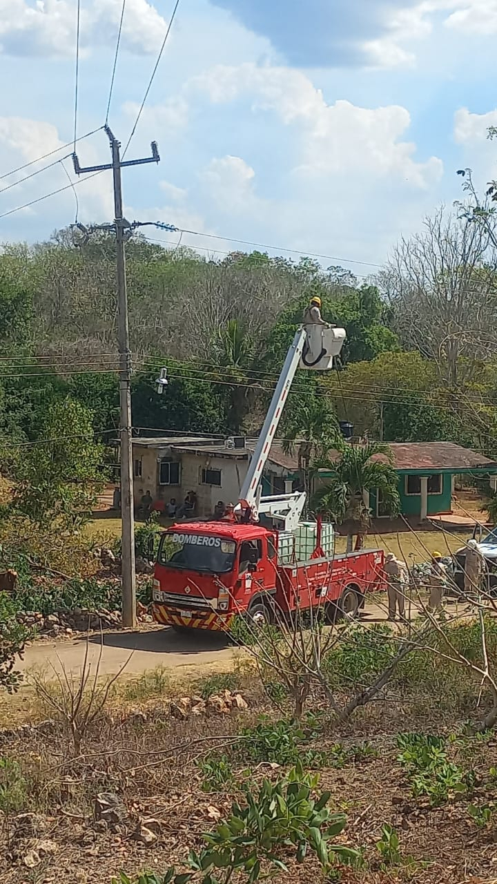 Apagón en Tinún: caída de árbol afecta electricidad y suministro de agua