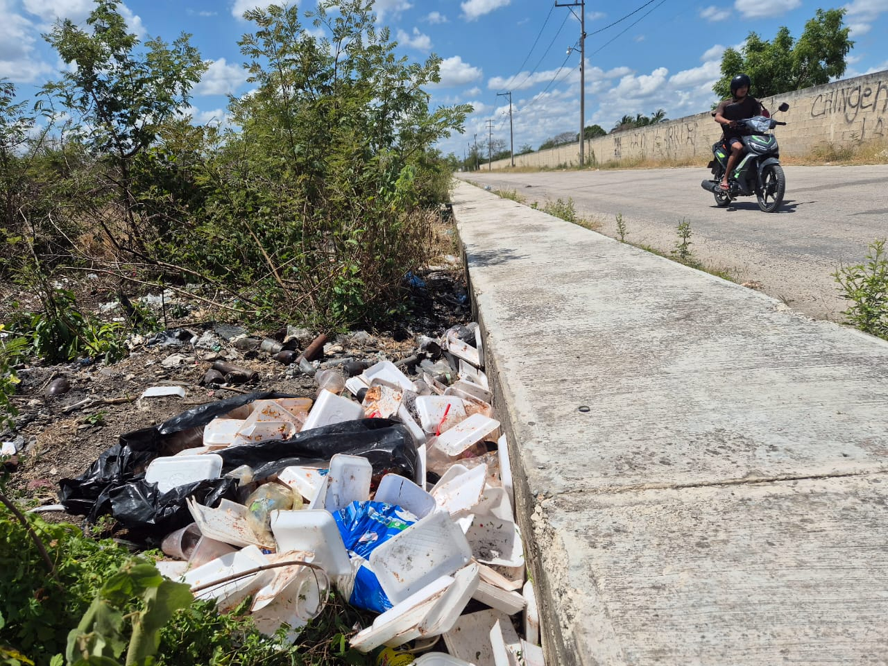 Basurero clandestino afecta a 40 familias en colonias del sur de Champotón