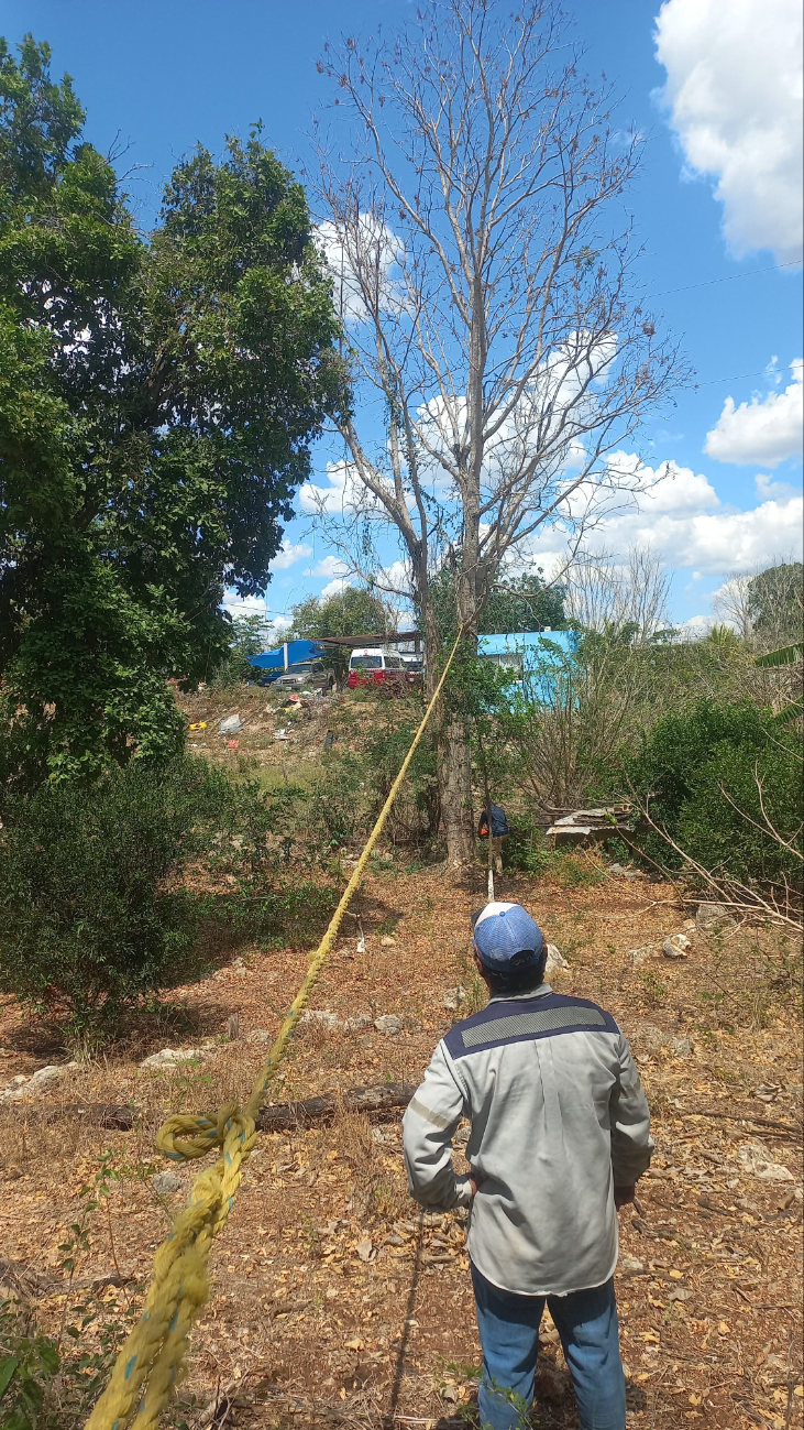 La falta de electricidad causó la suspensión del suministro de agua en sectores de la Junta Municipal La falta de electricidad causó la suspensión del suministro de agua en sectores de la Junta Municipal