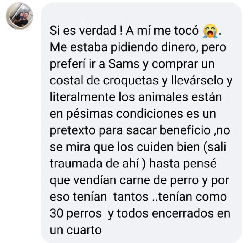 Usuarios expusieron la situación en la que viven los perros rescatados Usuarios expusieron la situación en la que viven los perros rescatados