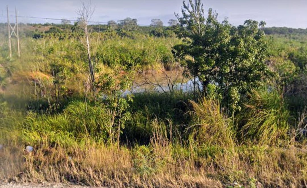 Rellenan humedales y manglar de Huay-Pix
