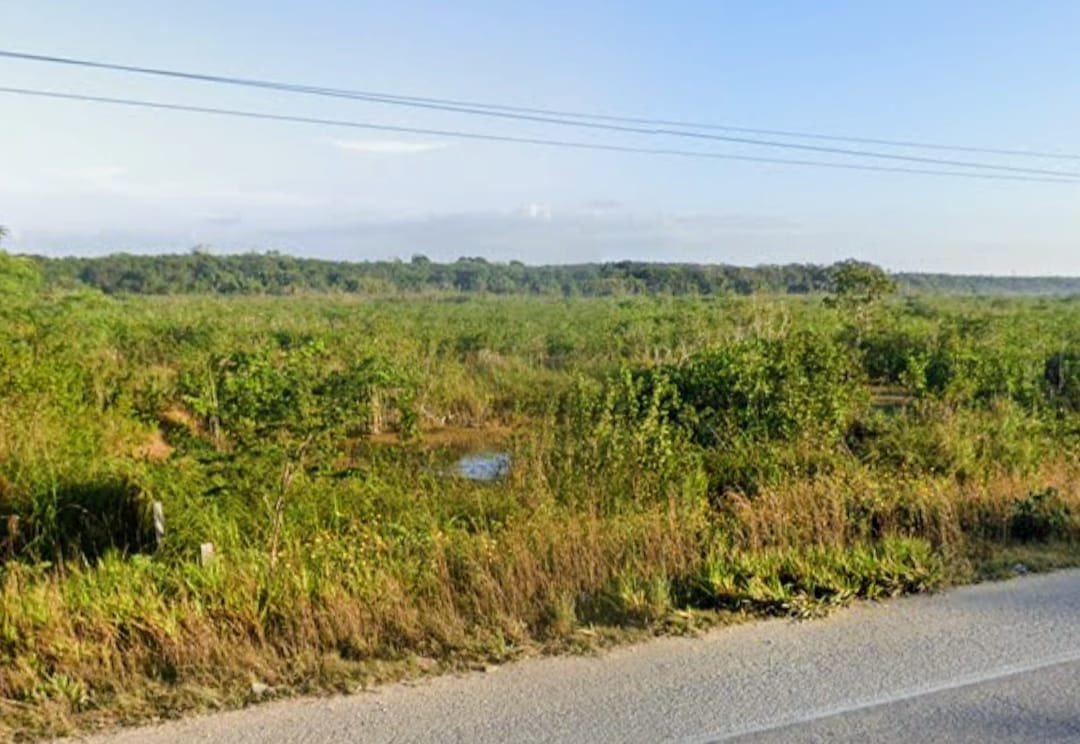 Rellenan humedales y manglar de Huay-Pix Rellenan humedales y manglar de Huay-Pix