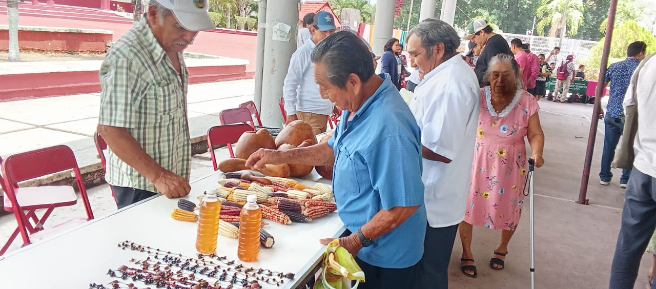 E rescate de la milpa tradicional y ancestral que significa muchísimo E rescate de la milpa tradicional y ancestral que significa muchísimo