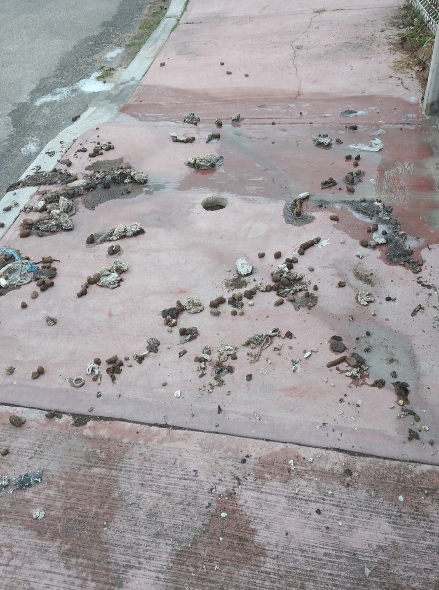 Denuncian rebosamiento de aguas negras en Bosques del Lago tras lluvias en Chetumal