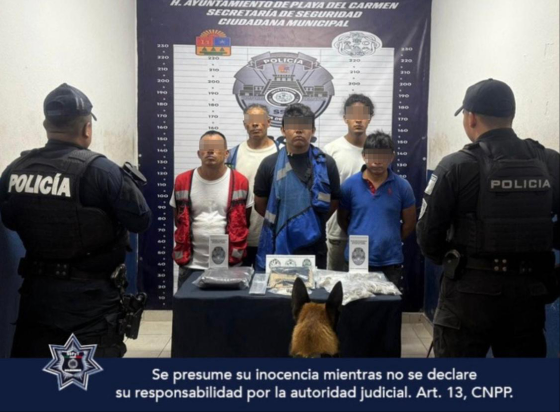 Los detenidos fueron identificados como Luis “N, Diego “N”, Oswaldo “N”, Oscar “N” y Alejandro “N” Los detenidos fueron identificados como Luis “N, Diego “N”, Oswaldo “N”, Oscar “N” y Alejandro “N”