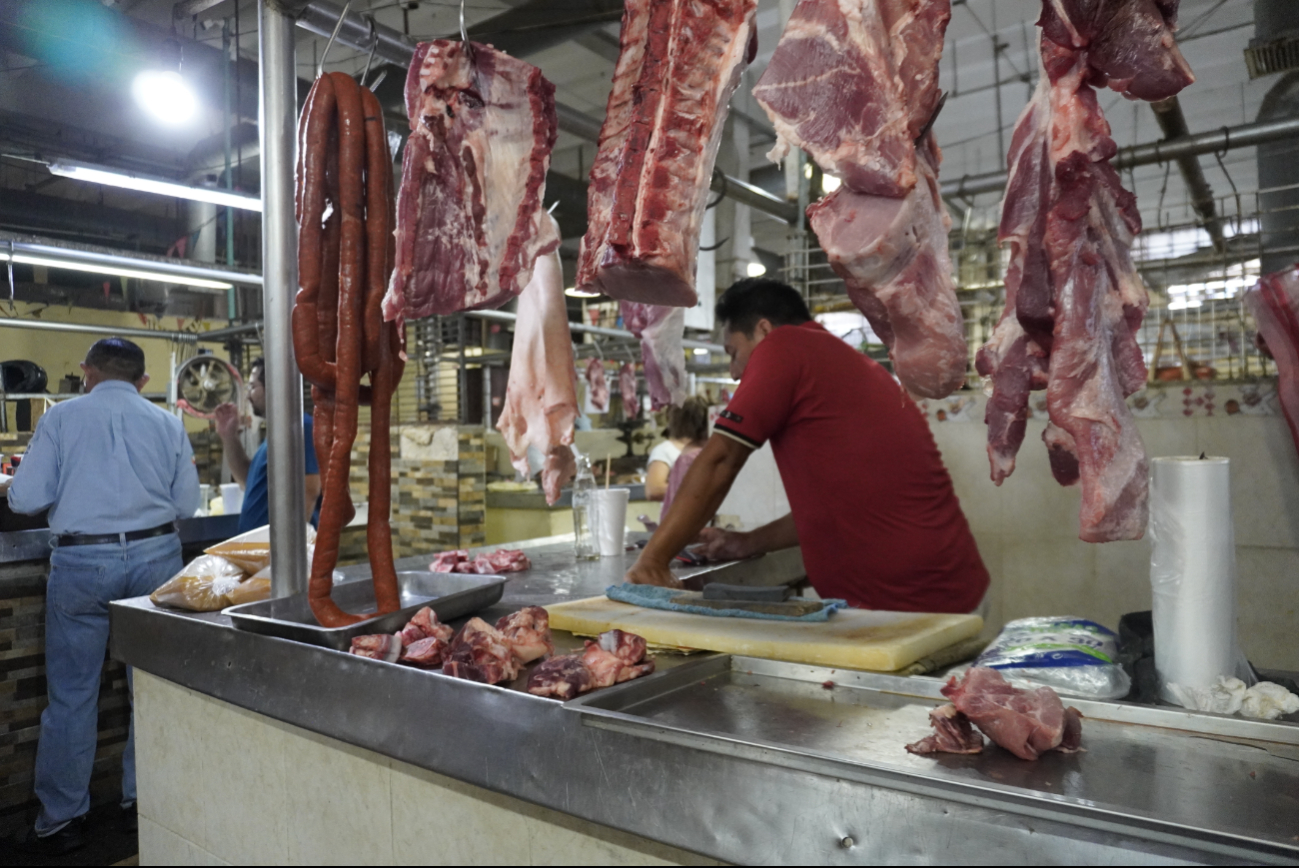 Gusano barrenador no afecta  el consumo de res en Campeche
