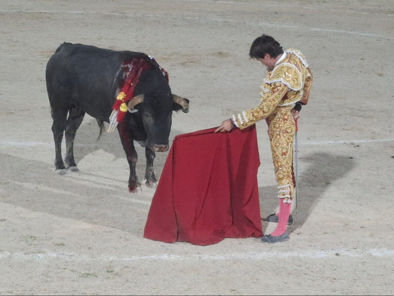 Corridas de toros en Campeche: Disputa entre la "tradición y el maltrato animal"