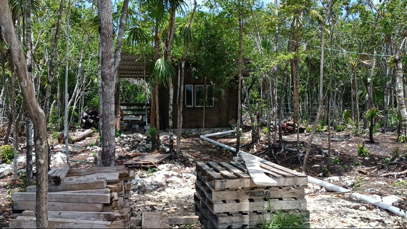 Las autoridades solamente realizan campañas de cloración y control de mosquitos Las autoridades solamente realizan campañas de cloración y control de mosquitos