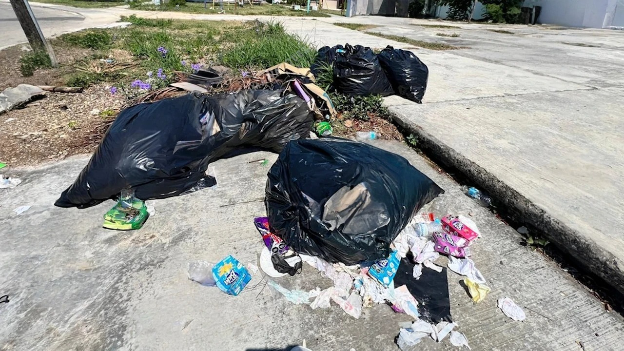 Los perros y gatos rompen las bolsas de basura, para comer lo que hay dentro. Los perros y gatos rompen las bolsas de basura, para comer lo que hay dentro.