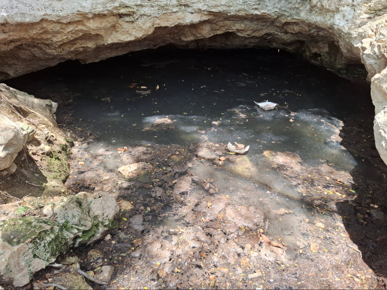 "De cristalino a foco de infección", denuncian que cenote en Pomuch es contaminado por empresas