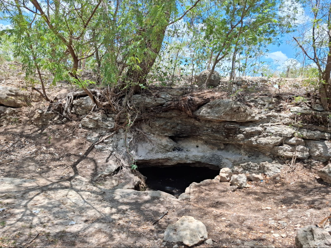 Empresas clandestinas vierten desechos en cenote cercano a la carretera Campeche-Mérida Empresas clandestinas vierten desechos en cenote cercano a la carretera Campeche-Mérida