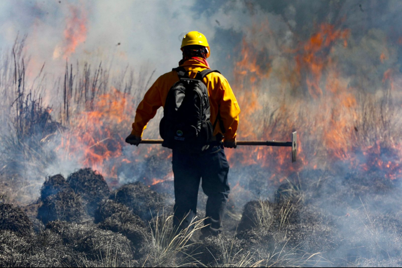 Campeche suma 26 incendios forestales con más de 14 mil hectáreas afectadas en lo que va del 2025   