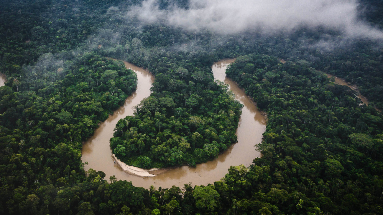 La Amazonia es la selva tropical más extensa del planeta y el principal pulmón del mundo La Amazonia es la selva tropical más extensa del planeta y el principal pulmón del mundo