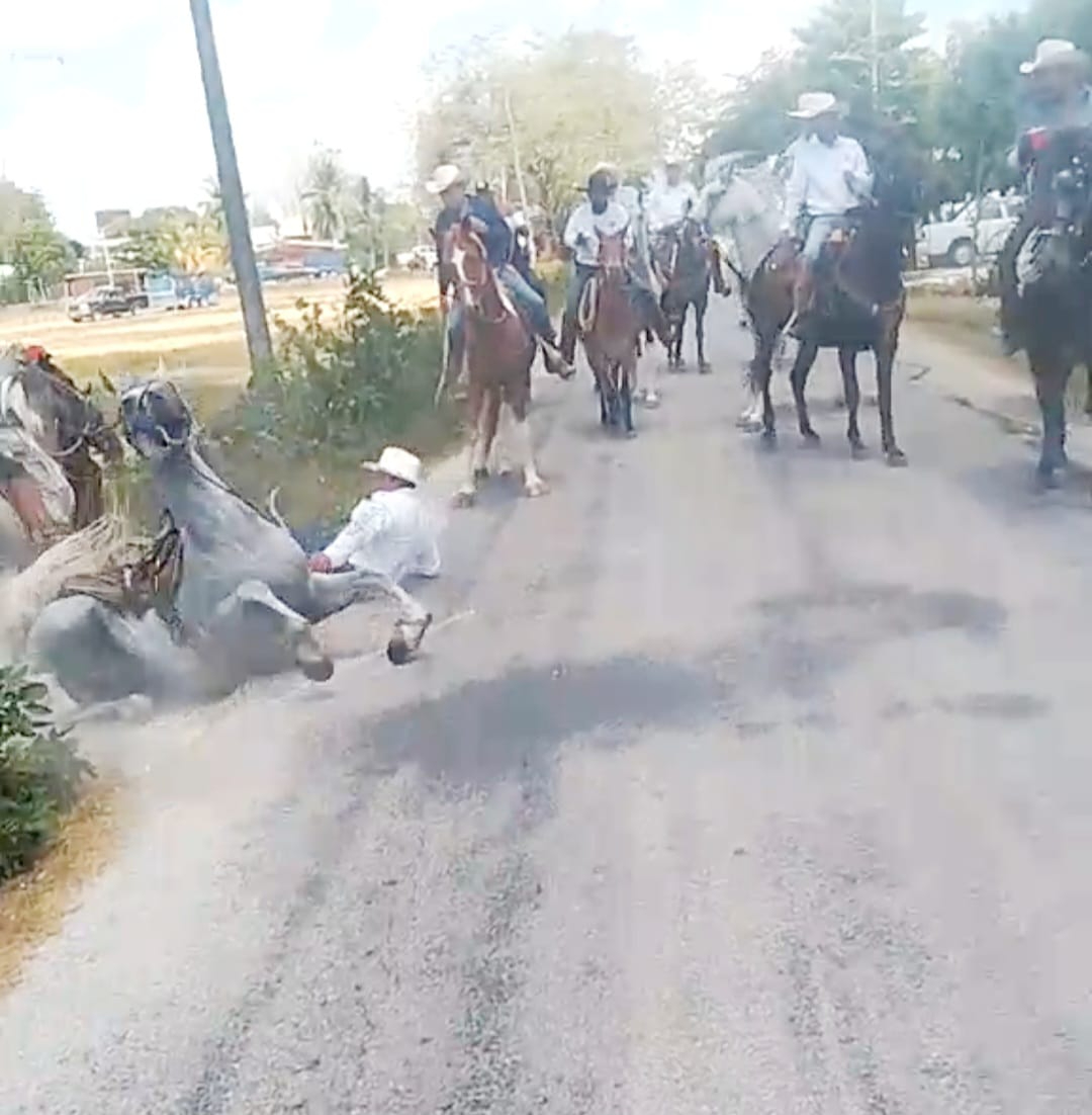Cabalgata en  San Isidro, Carmen termina en accidente; un caballo derrapó en plenos festejos 