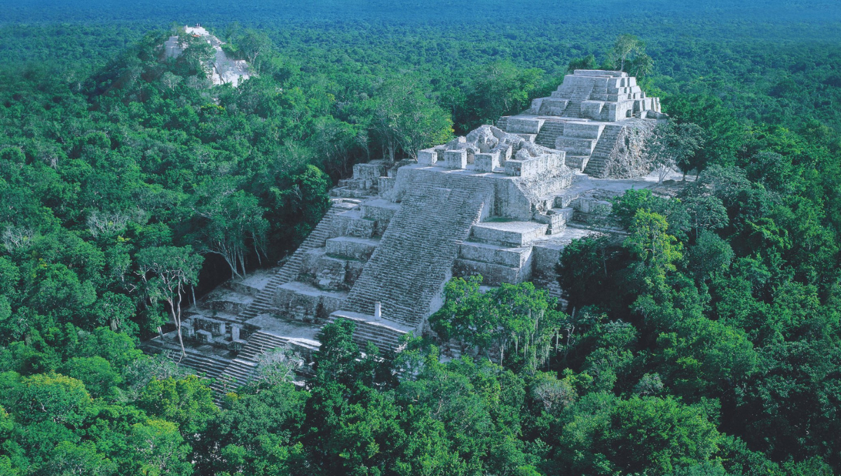 Calakmul, una de las ciudades mayas más grandes, se comparó con Nueva York por su planificación urbana avanzada.