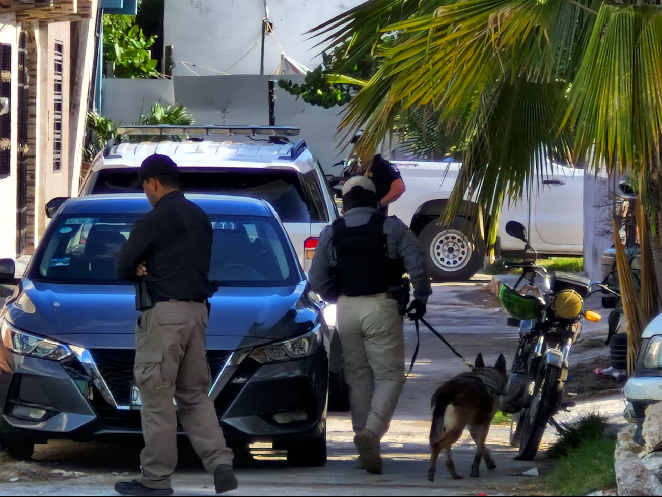 Detienen a una pareja en Progreso por presunto narcomenudeo y aseguran a tres menores de edad
