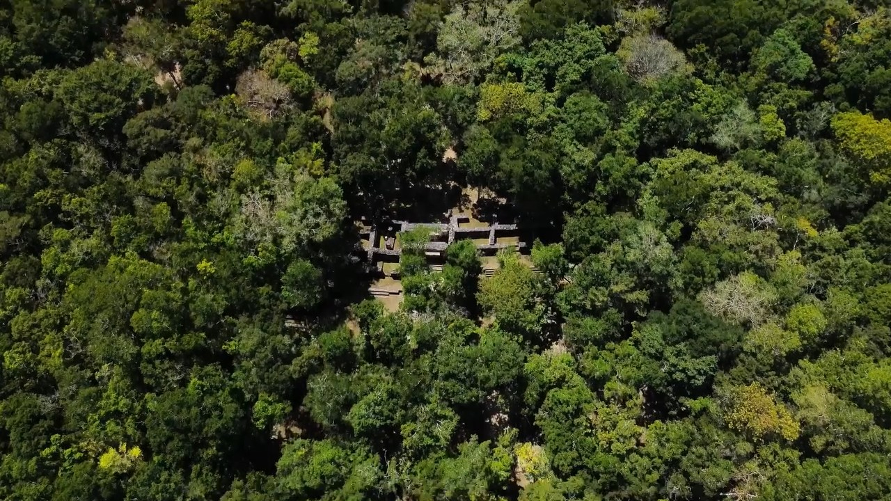 Estudios con tecnología LiDAR revelan una modificación del paisaje, con canales y terrazas agrícolas para una población de hasta 60,000 habitantes Estudios con tecnología LiDAR revelan una modificación del paisaje, con canales y terrazas agrícolas para una población de hasta 60,000 habitantes