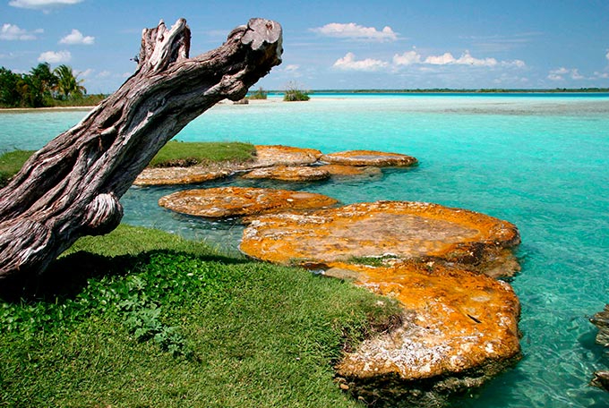 Sus cenotes y cuerpos de agua eran considerados portales sagrados por los mayas. Sus cenotes y cuerpos de agua eran considerados portales sagrados por los mayas.