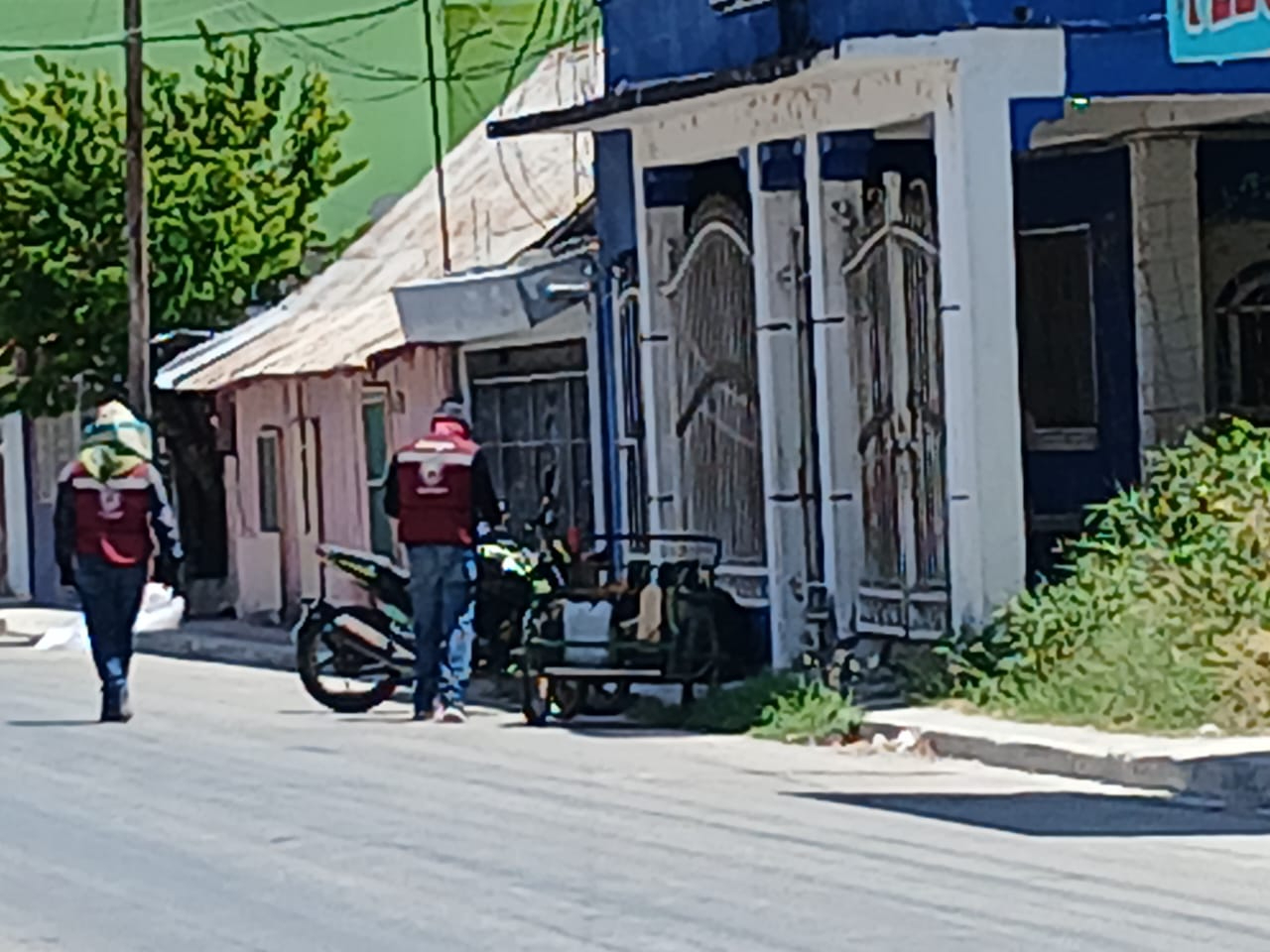 Un enjambre de abejas atacó a varias personas en la colonia Salsipuedes de Escárcega.