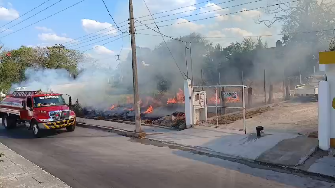 A las 10:00 horas, bomberos recibieron un reporte ciudadano y acudieron de inmediato. A las 10:00 horas, bomberos recibieron un reporte ciudadano y acudieron de inmediato.