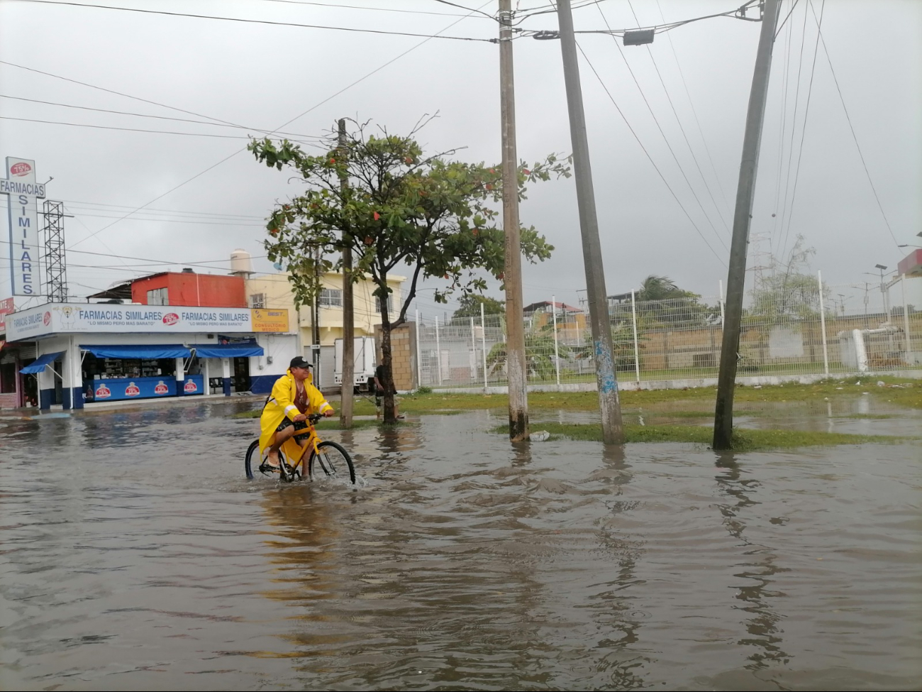 SEPROCI Campeche recuerda a la ciudadanía estar preparada ante la temporada de huracanes.
SEPROCI Campeche recuerda a la ciudadanía estar preparada ante la temporada de huracanes.