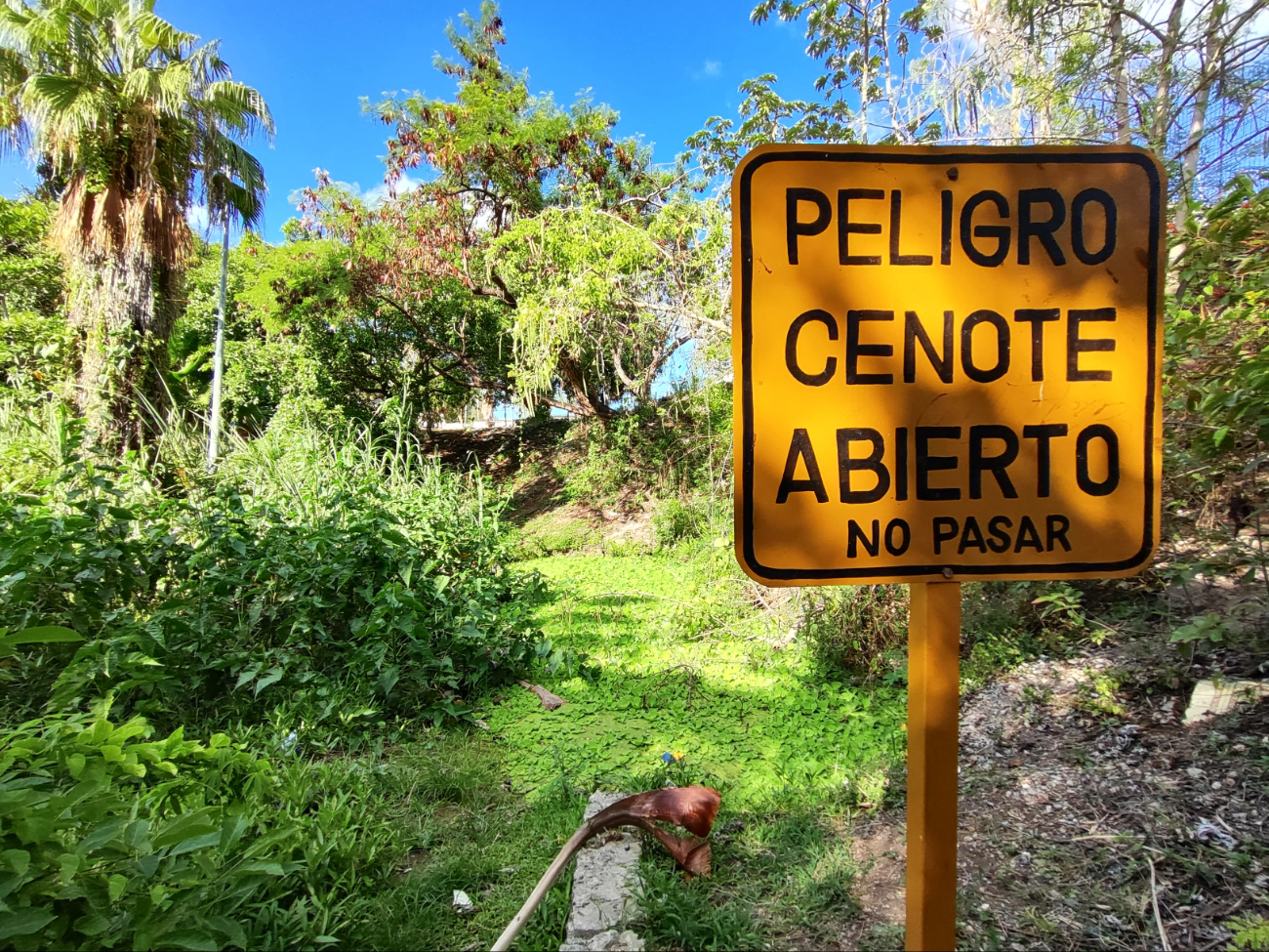 El parque se ha convertido en un sitio abandonado y hogar de indigentes. El parque se ha convertido en un sitio abandonado y hogar de indigentes.