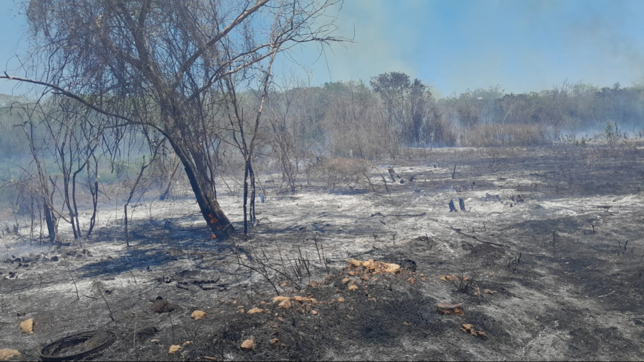 Fuego arrasa con 4 hectáreas de reserva ecológica en Calkiní; ejidatarios se deslindan 