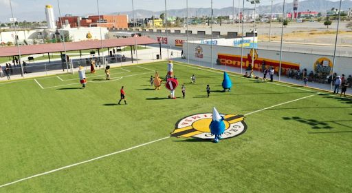 La Laguna Florece: Iniciativas Empresariales que Combaten la Pobreza Juvenil con Deporte y Educación La Laguna Florece: Iniciativas Empresariales que Combaten la Pobreza Juvenil con Deporte y Educación
