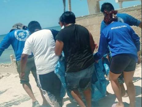La temporada de anidación y desove se encuentra en marcha
