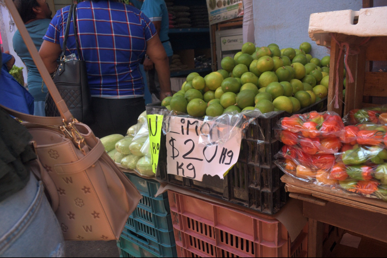 Lluvias podrían disparar precios de hortalizas en Campeche Lluvias podrían disparar precios de hortalizas en Campeche