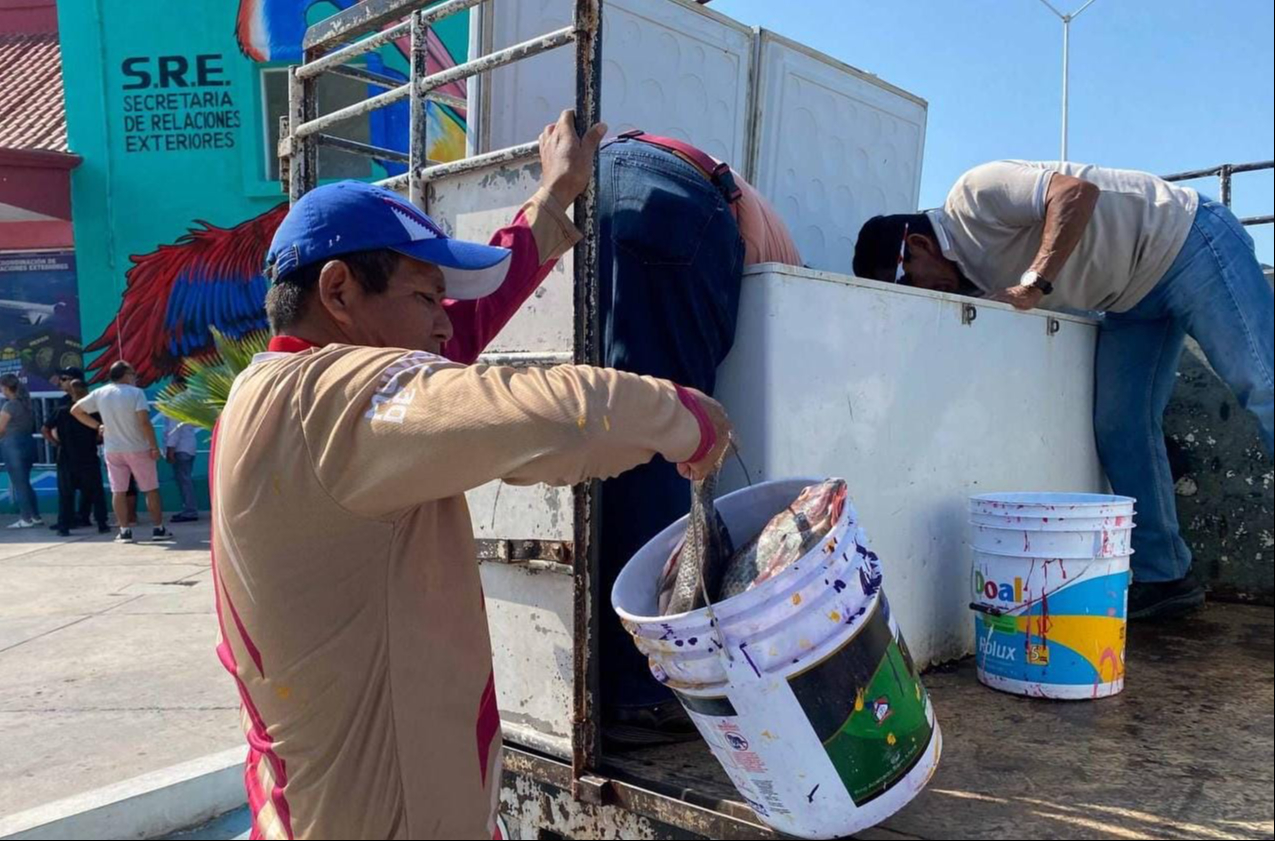 Productores acuícolas de la Península de Atasta enfrentan desafíos por costos energéticos y coyotaje