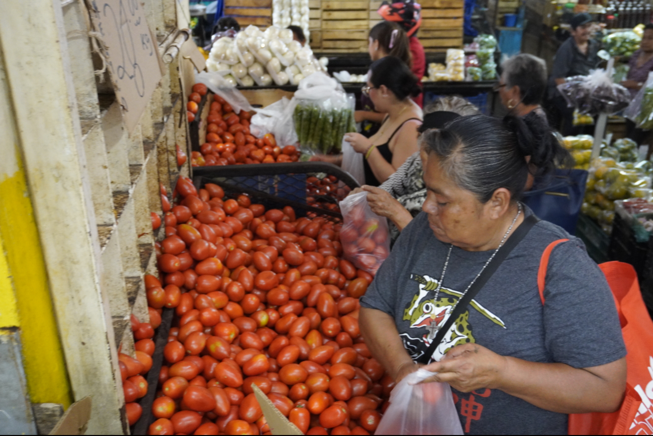 Sequía y falta de regulación elevan el precio del tomate en Campeche