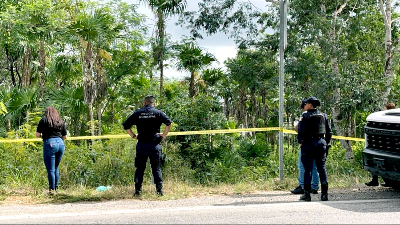 El cuerpo del colaborador fue localizado en un área verde sobre la carretera federal Cancún-Mérida El cuerpo del colaborador fue localizado en un área verde sobre la carretera federal Cancún-Mérida