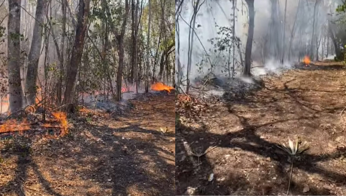 Incendio imparable en Escárcega afecta a la flora y fauna; pobladores de La Libertad urgen ayuda