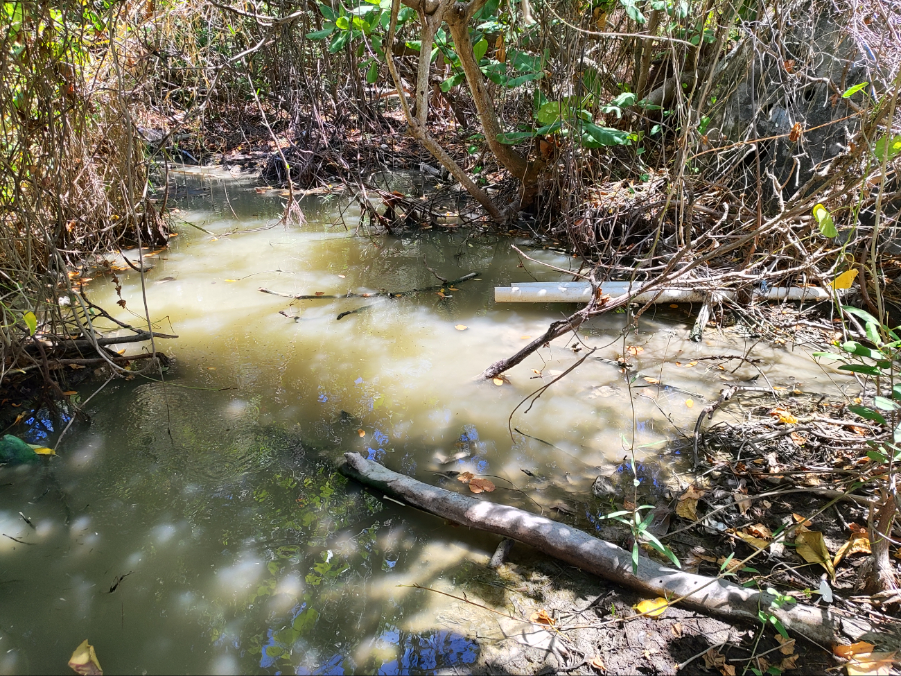 La zona maya es la más olvidada respecto al servicio La zona maya es la más olvidada respecto al servicio