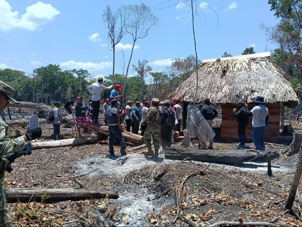 Autoridades vigilan asentamientos irregulares en Calakmul para evitar daños ambientales. Autoridades vigilan asentamientos irregulares en Calakmul para evitar daños ambientales.