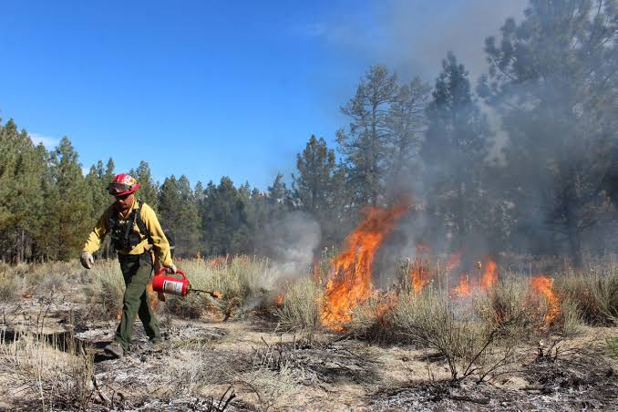 Escárcega y Champotón, focos rojos por incendios forestales