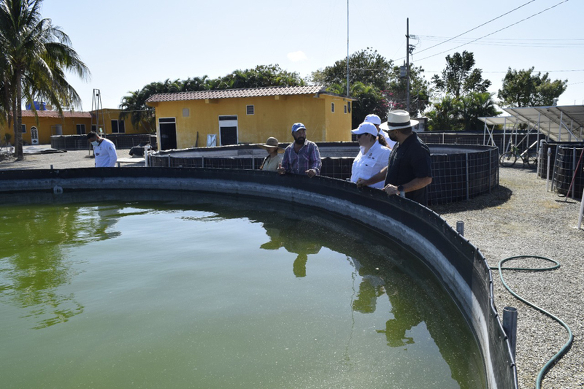 Se agrava crisis acuícola en Atasta: PACMA incumple entrega de apoyos y obras Se agrava crisis acuícola en Atasta: PACMA incumple entrega de apoyos y obras