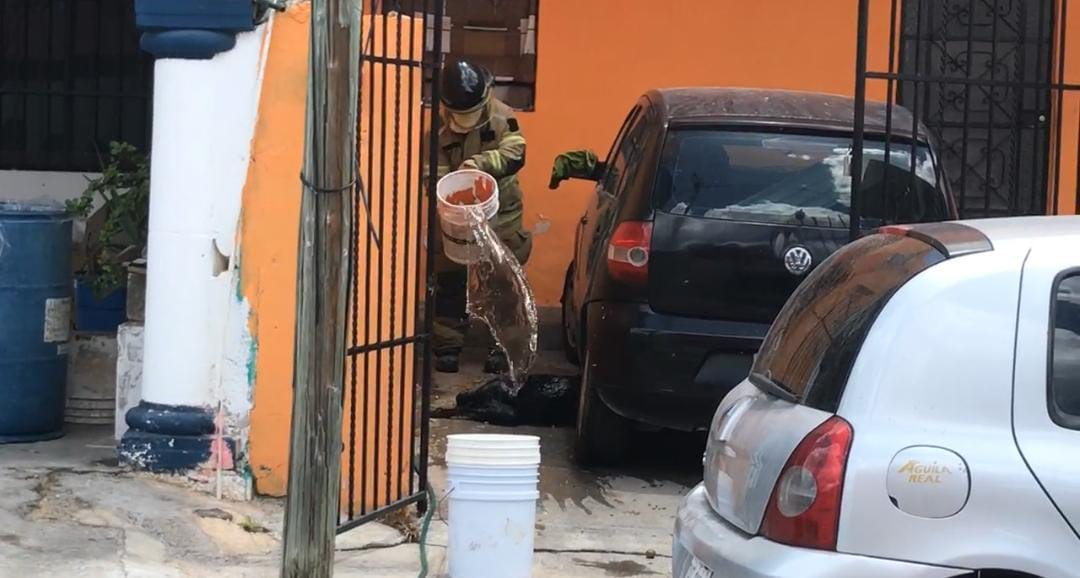 Grave ataque de abejas deja herida a mujer embarazada y a un cachorro rottweiler