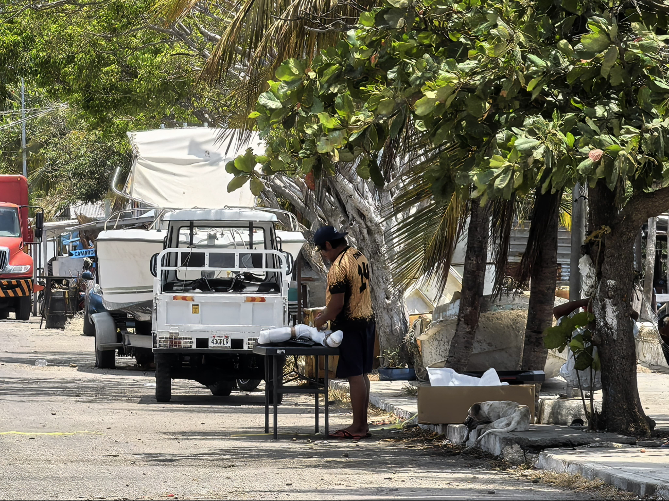 Pescadores alertan caída crítica en captura por calentamiento y veda del camarón Pescadores alertan caída crítica en captura por calentamiento y veda del camarón