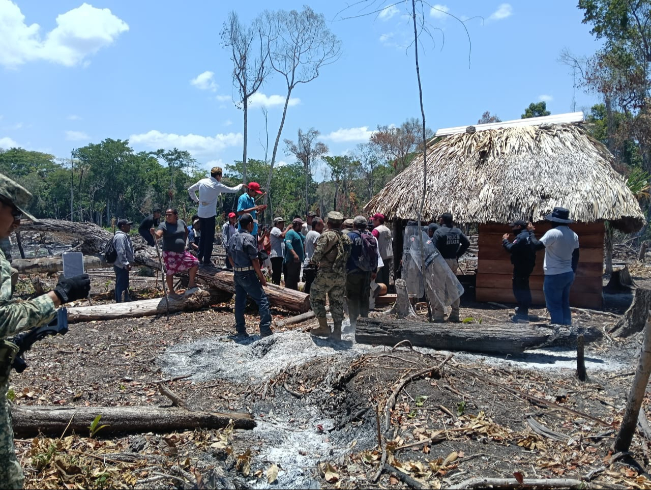 Operativo desmantela invasión ilegal en Área Protegida de Campeche "Balam Kú"