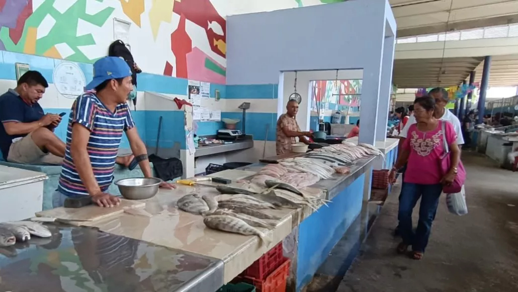 Sin robalo ni camarón: Pescadores de Carmen enfrentan temporada crítica por calor extremo