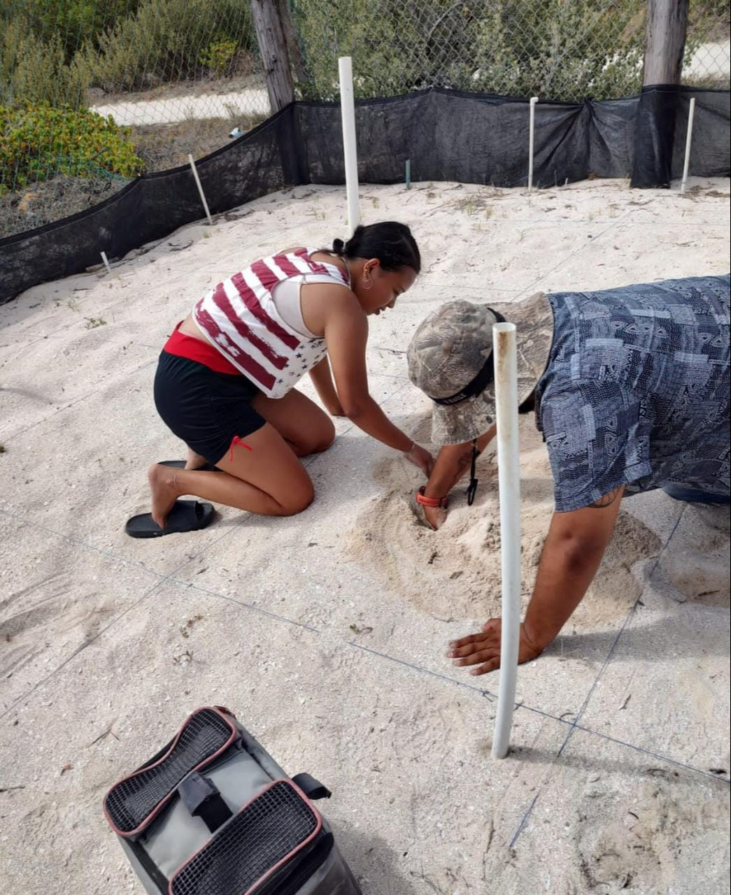 El Centro de Estudios Tecnológicos del Mar (Cetmar) 17, ubicado en este puerto, cuenta con un campamento para el cuidado de los huevos