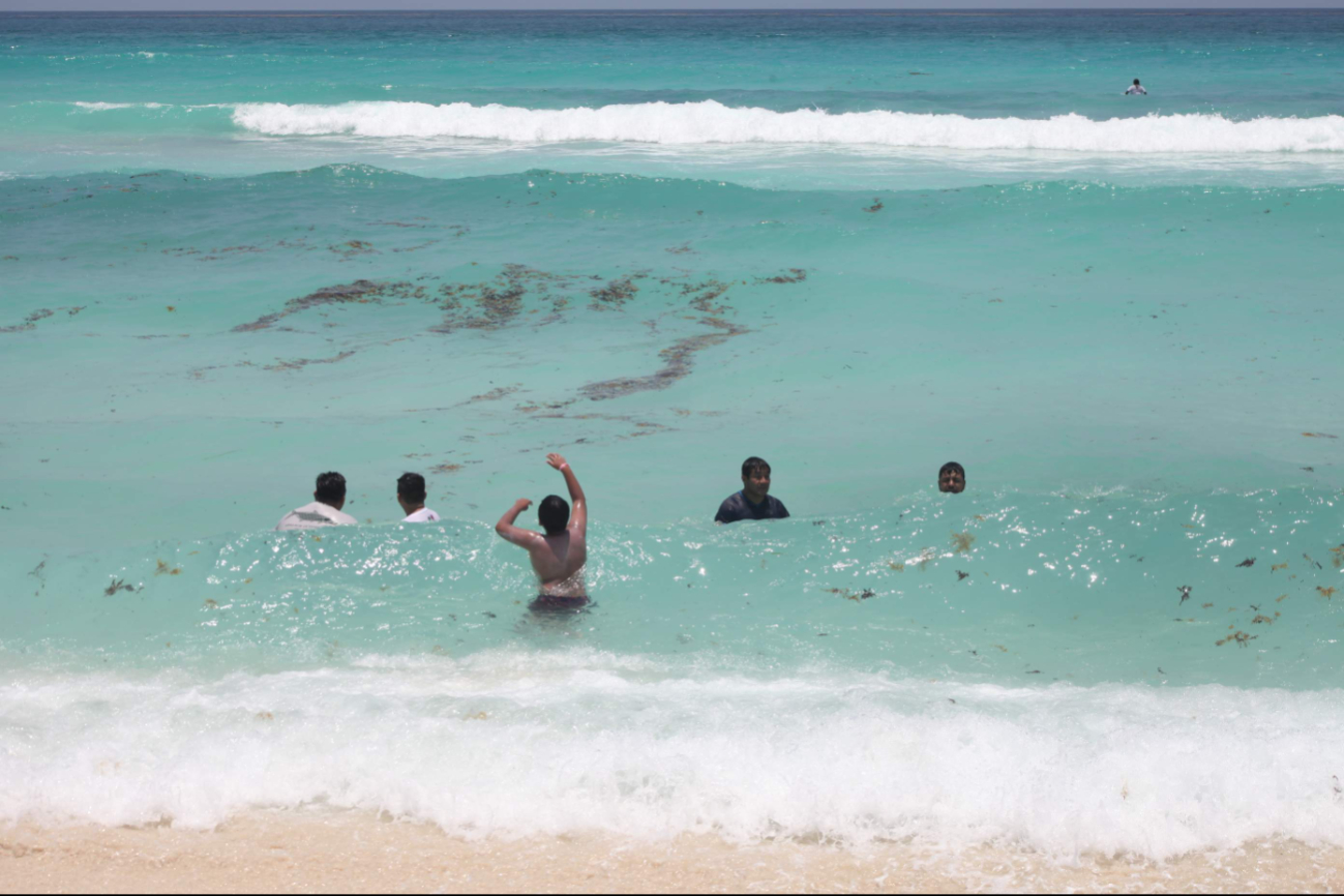 Esta herramienta fue diseñada para proteger más de 400 kilómetros de litorales del Caribe Mexicano Esta herramienta fue diseñada para proteger más de 400 kilómetros de litorales del Caribe Mexicano