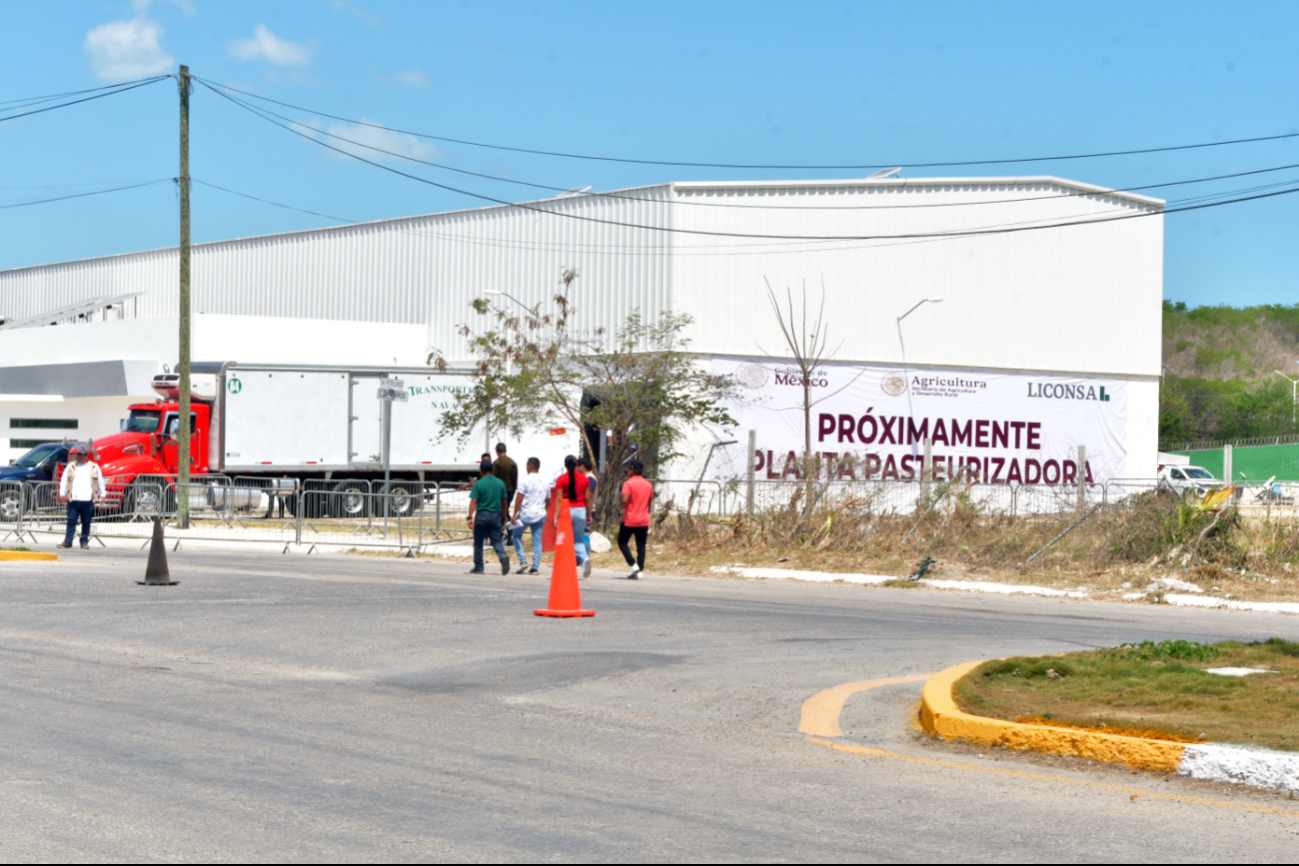 Planta Pasteurizadora de Leche en Campeche sigue en pie pese a plaga en el ganado