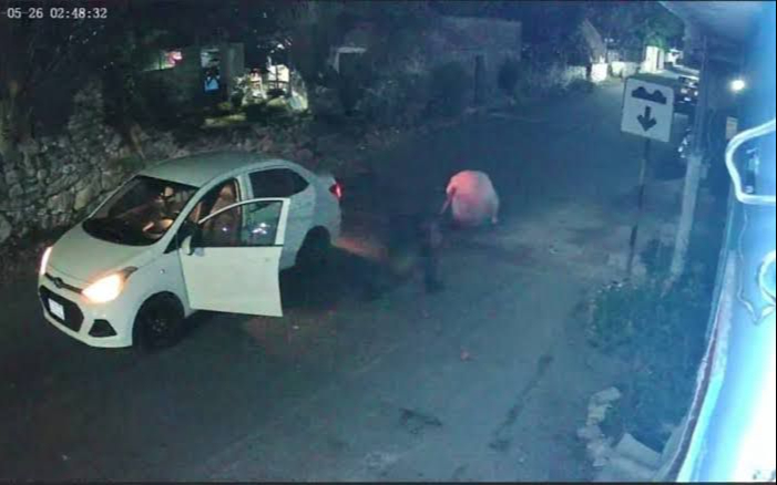 SSP descarta secuestro en el caso de una mujer que se arrojó de un vehículo en movimiento en Hunucmá  