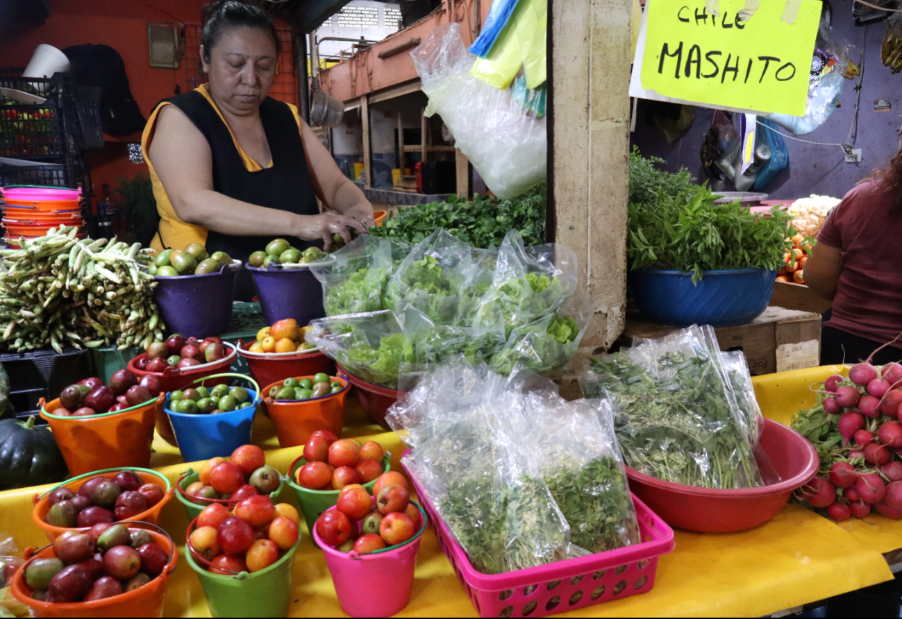 Congreso de Yucatán busca proteger la milpa maya