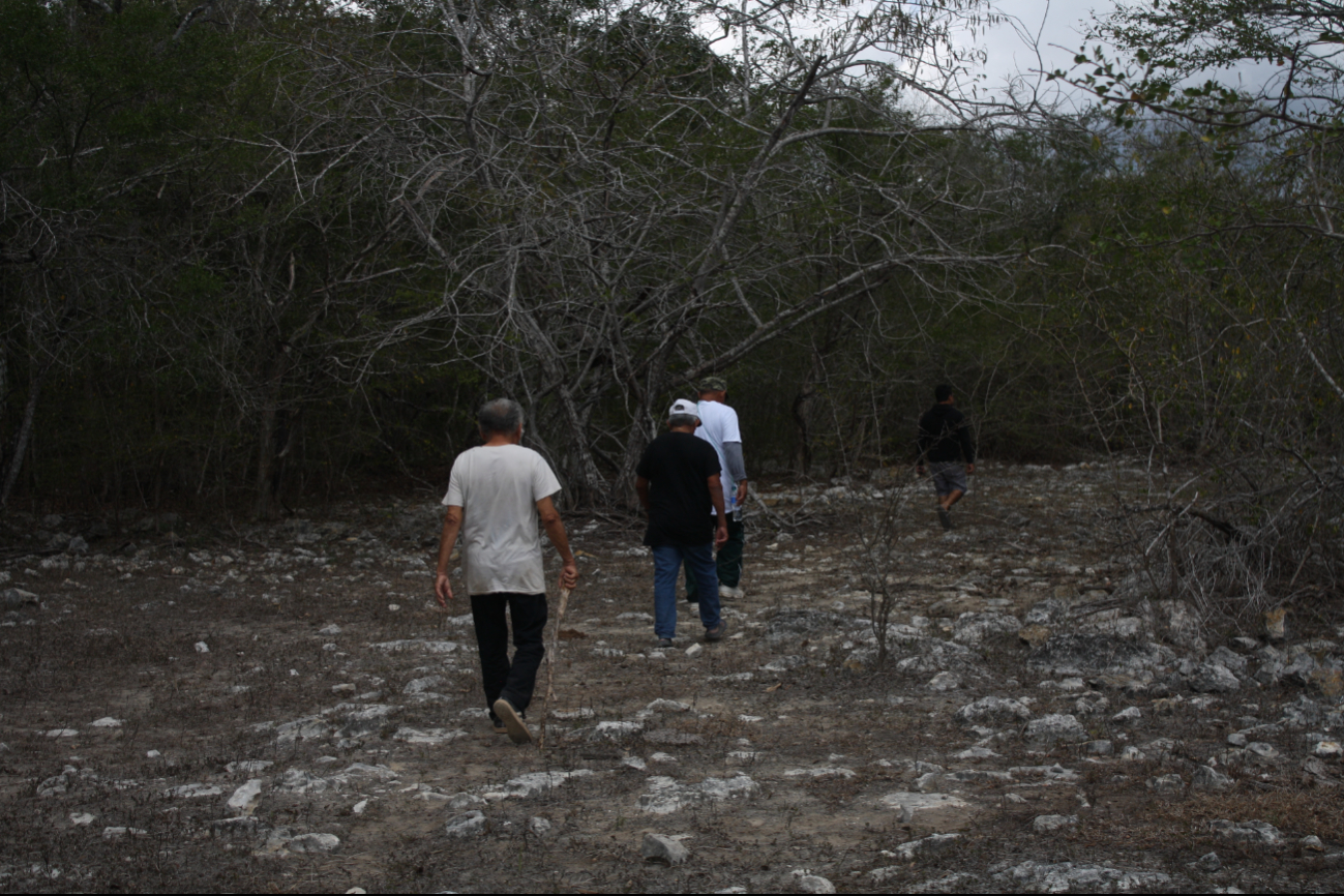   Denuncian invasión y ecocidio en Kinchil: habitantes acusan la destrucción de selva virgen por parte de inmobiliarias 