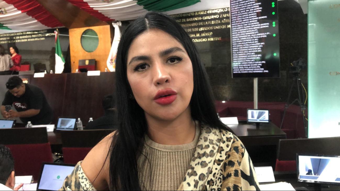 La diputada de Morena, Ena García, informó que se activó el protocolo de atención en Candelaria tras el reporte del contagio La diputada de Morena, Ena García, informó que se activó el protocolo de atención en Candelaria tras el reporte del contagio